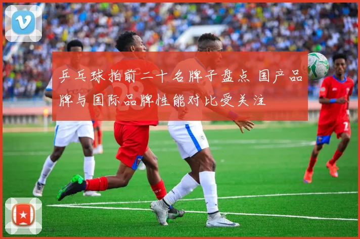乒乓球拍前二十名牌子盘点 国产品牌与国际品牌性能对比受关注